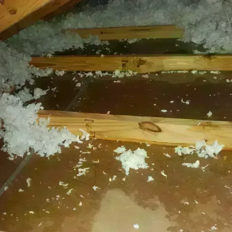 Attic Water Damage in Christian County, KY